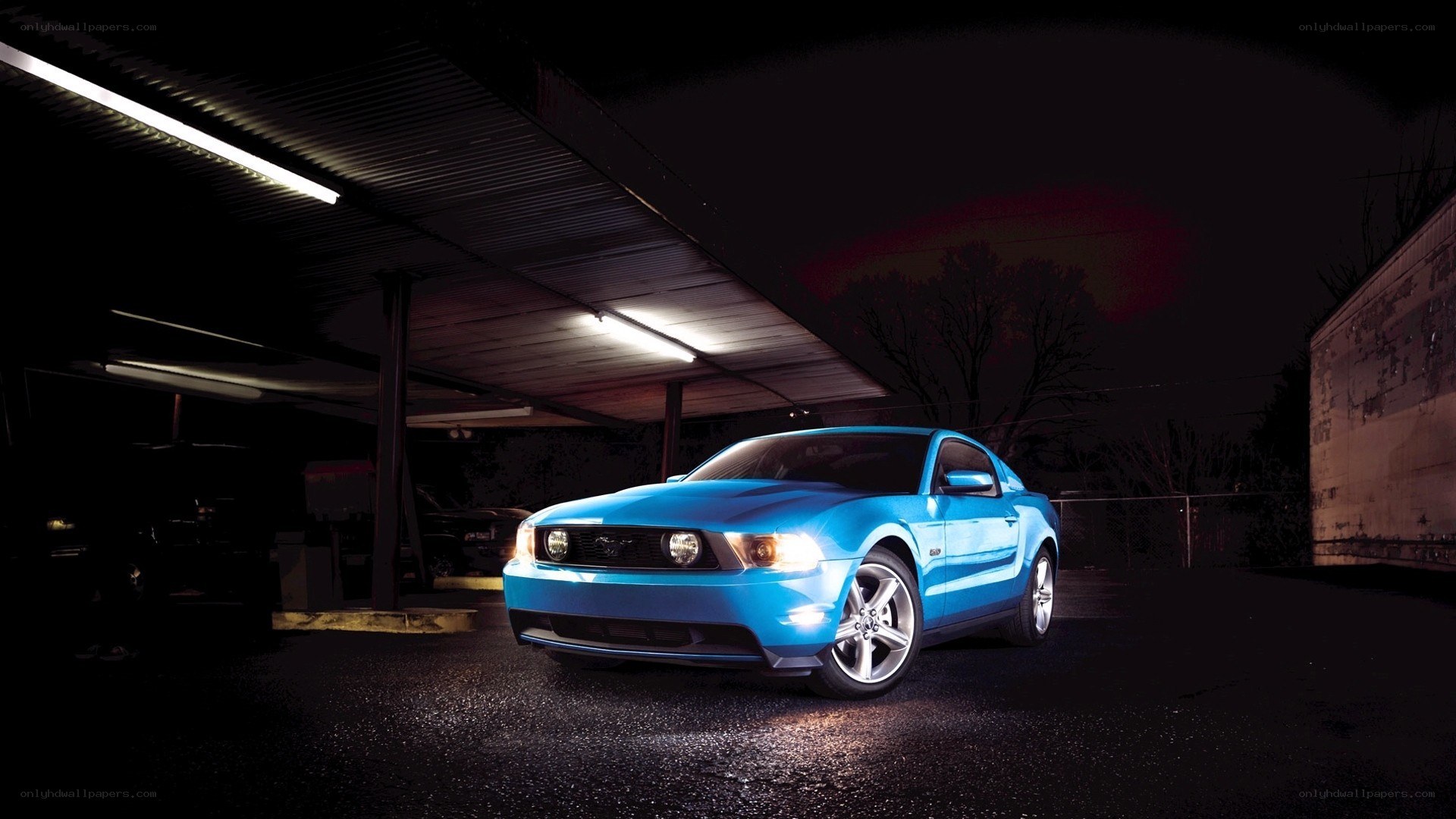 blue mustang at night
