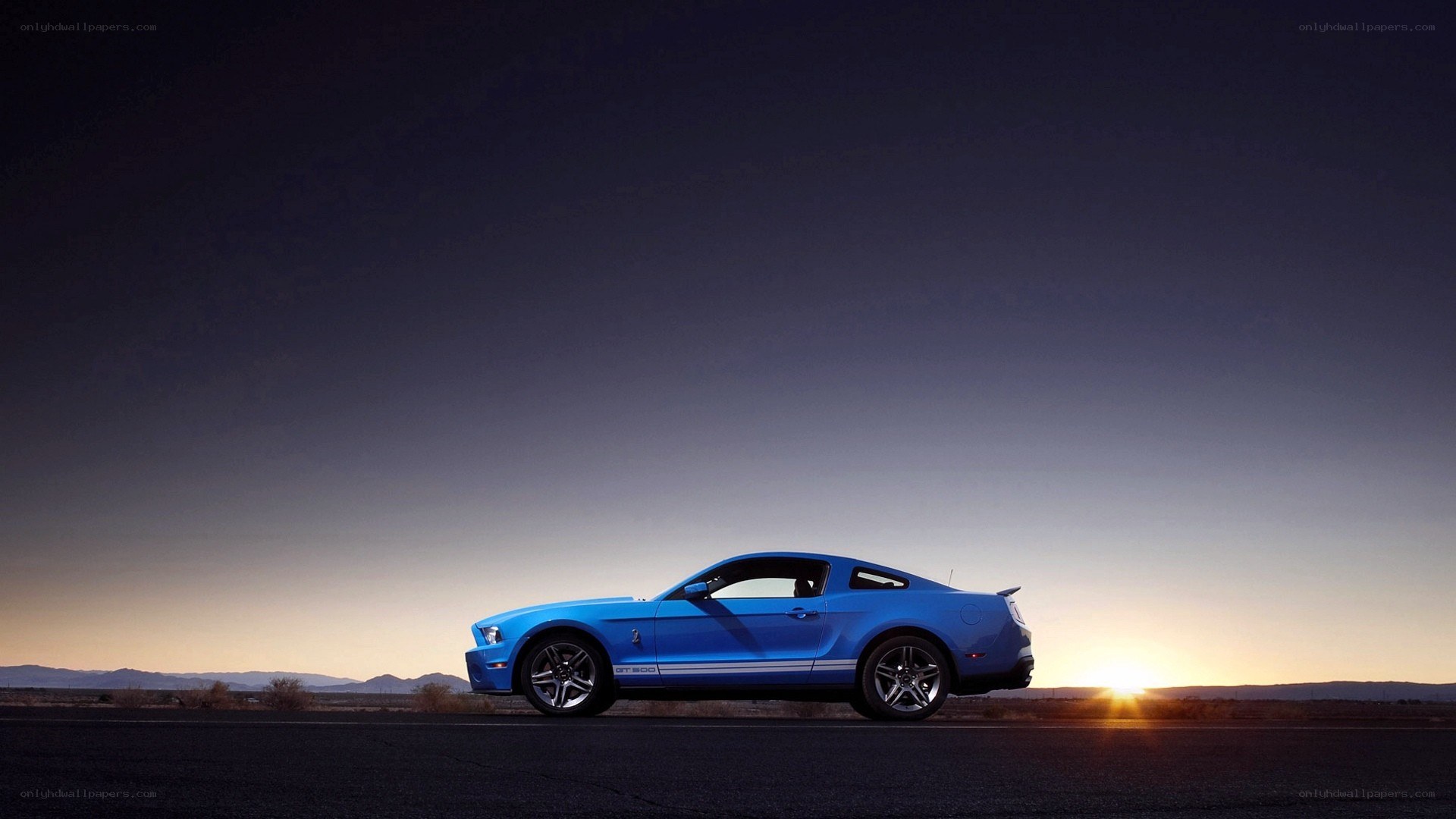 Blue Mustang at sunset