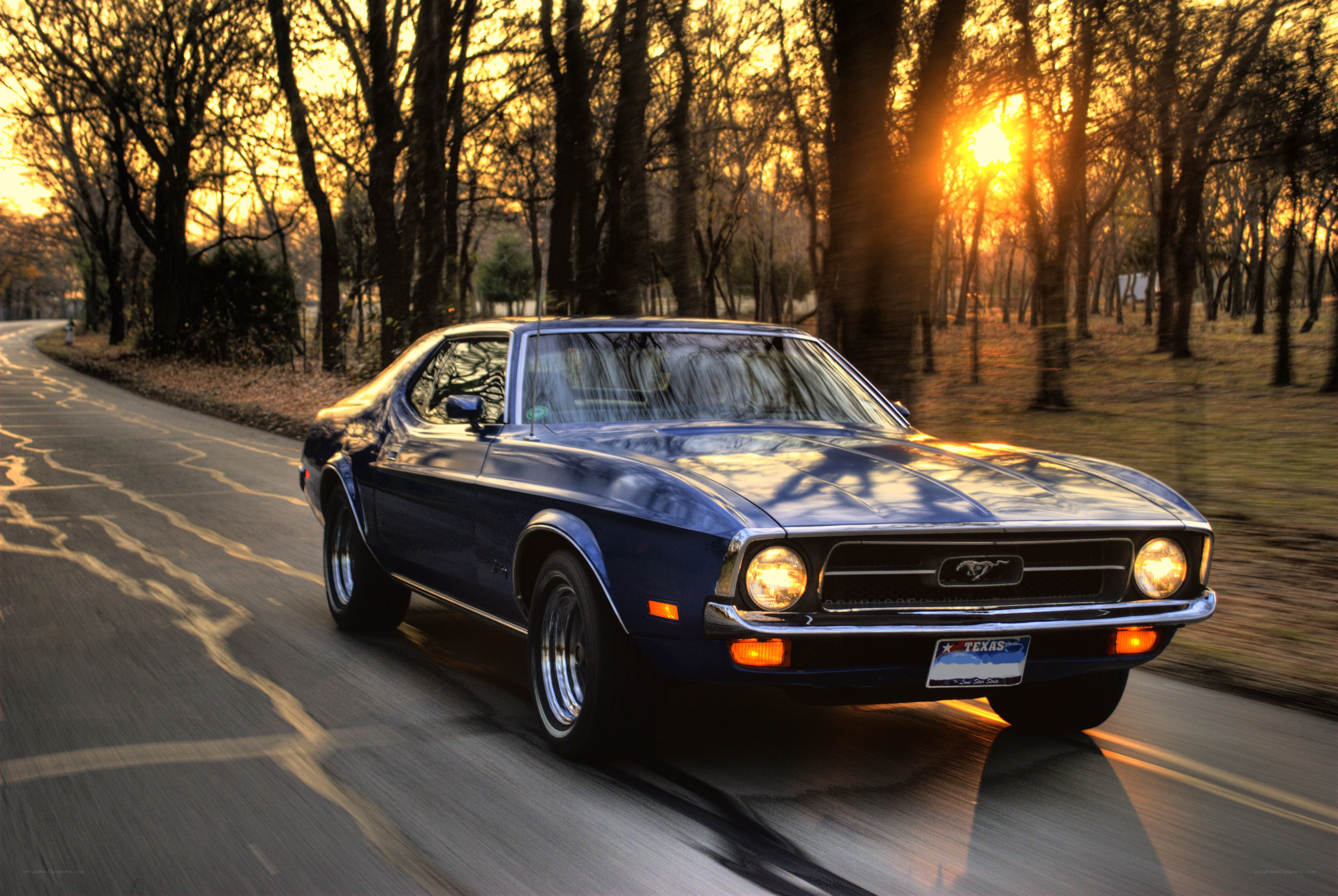 Blue Mustang at sunset