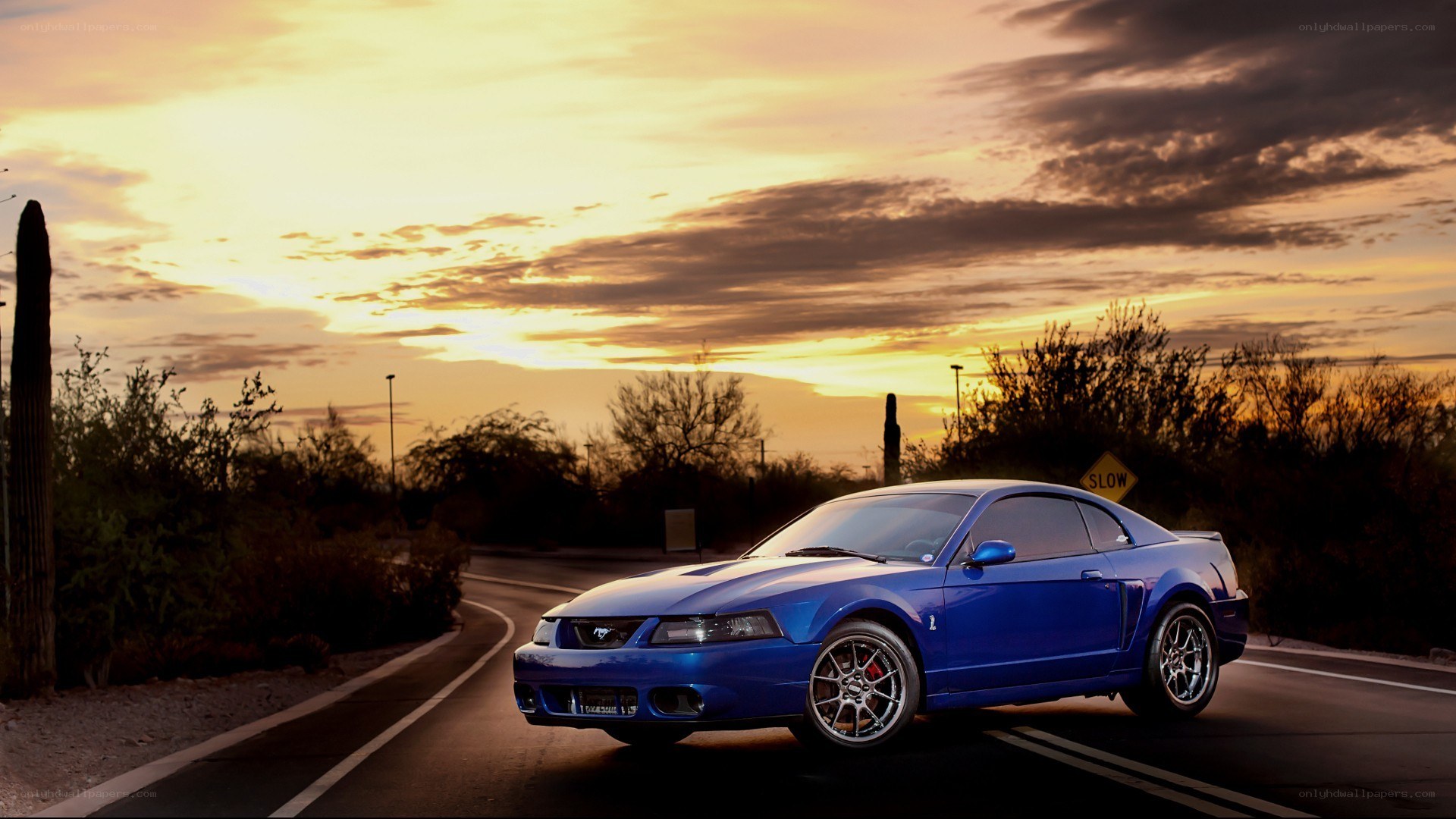 Blue Mustang at sunset