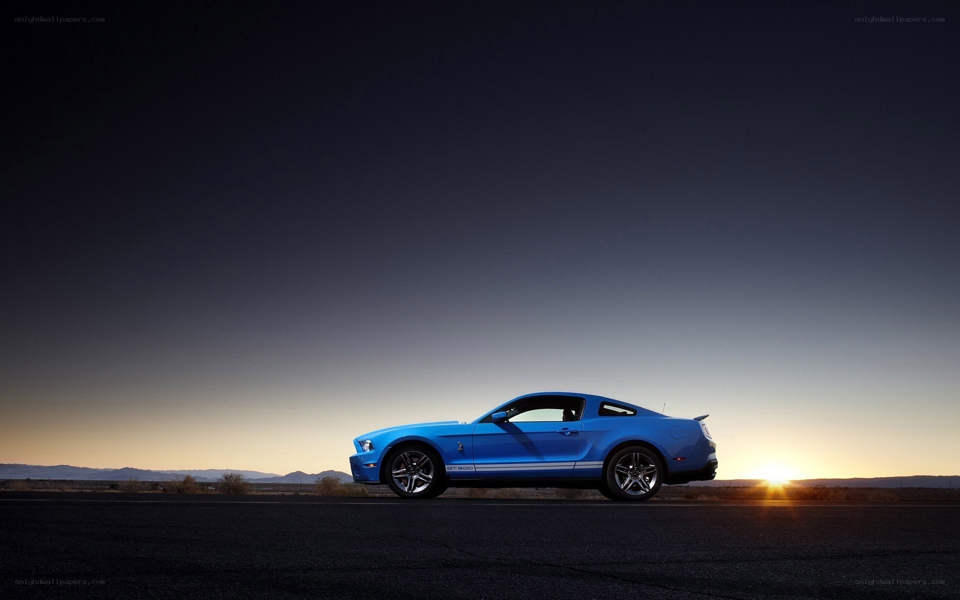 Blue Mustang at sunset