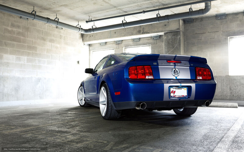 Blue Mustang Car — Dramatic, Photograph, Concrete Garage