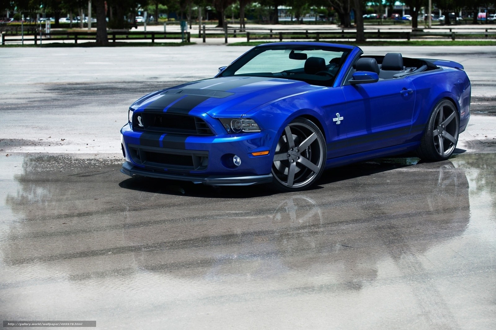 blue mustang convertible