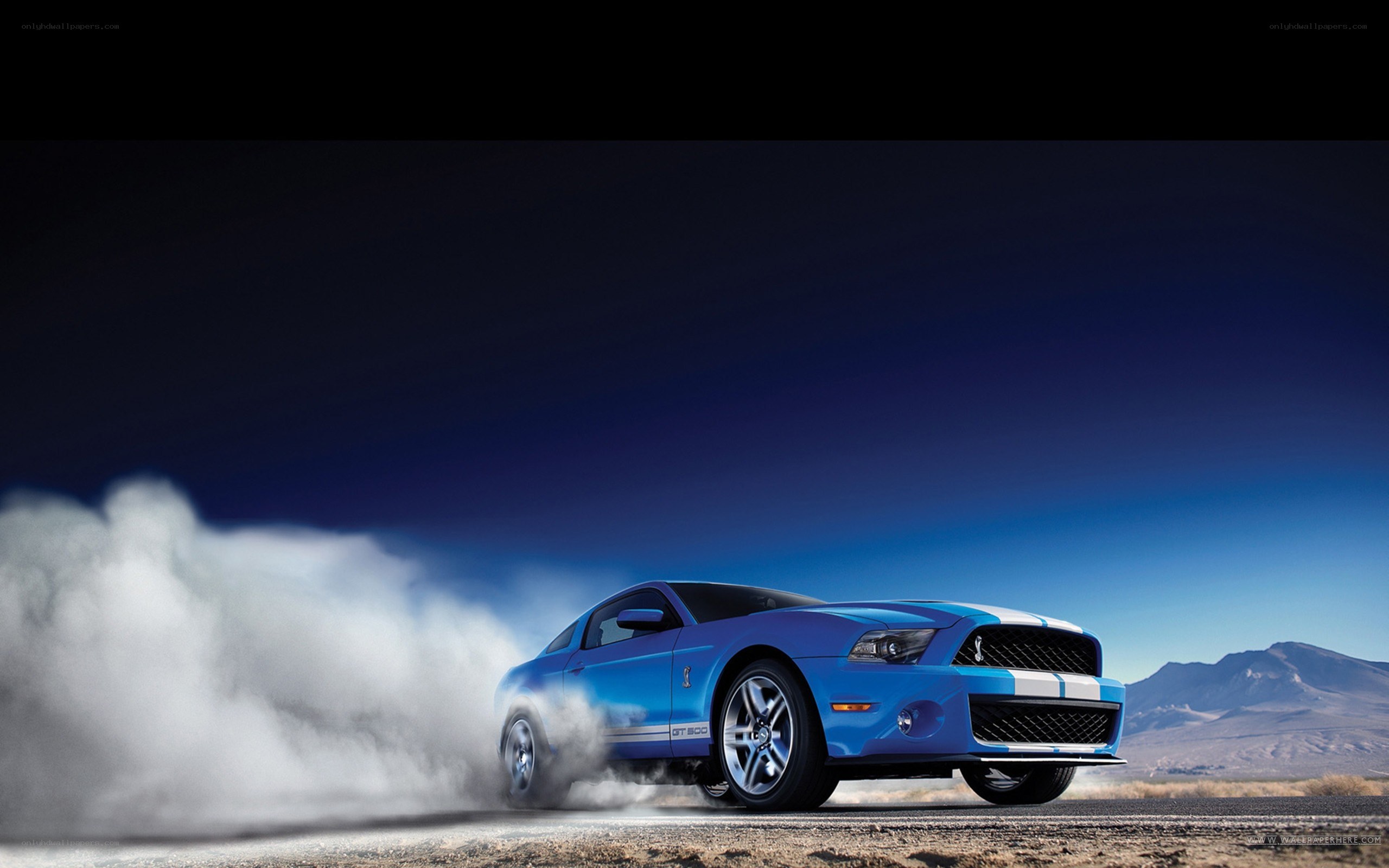 blue mustang doing burnout
