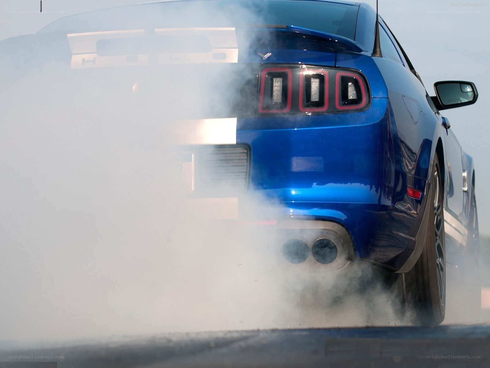 blue mustang doing burnout