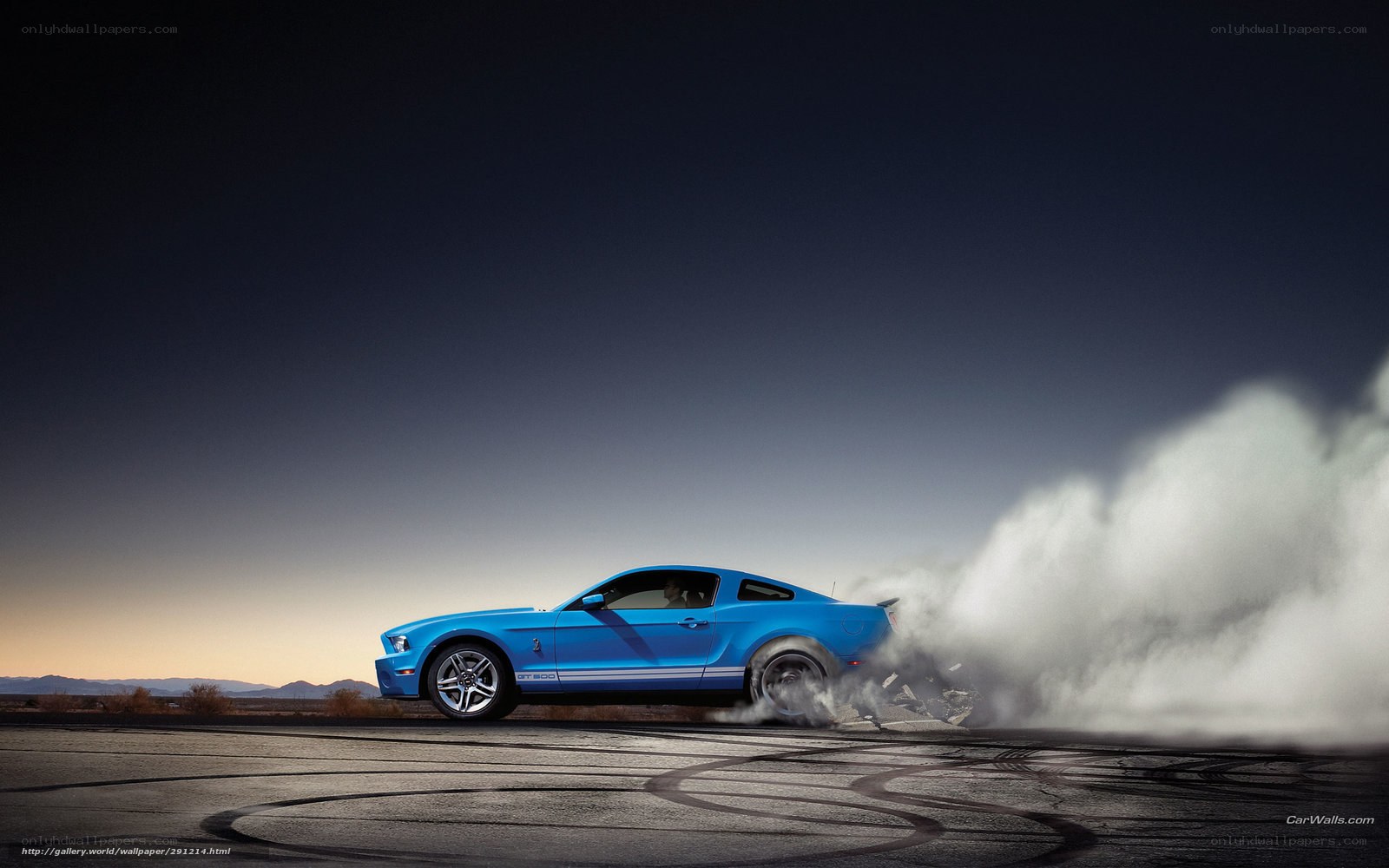 blue mustang doing burnout