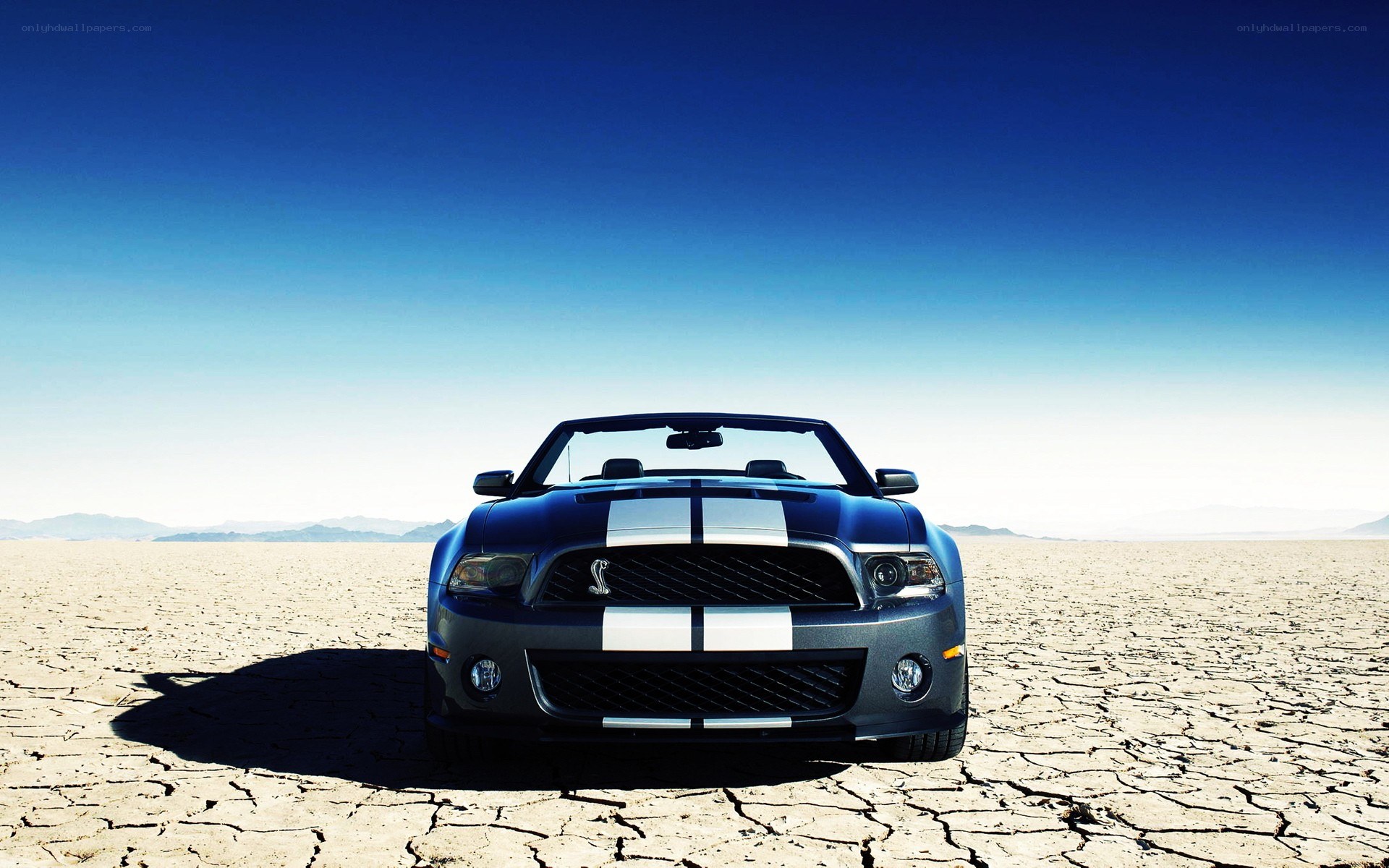 Blue Mustang in desert