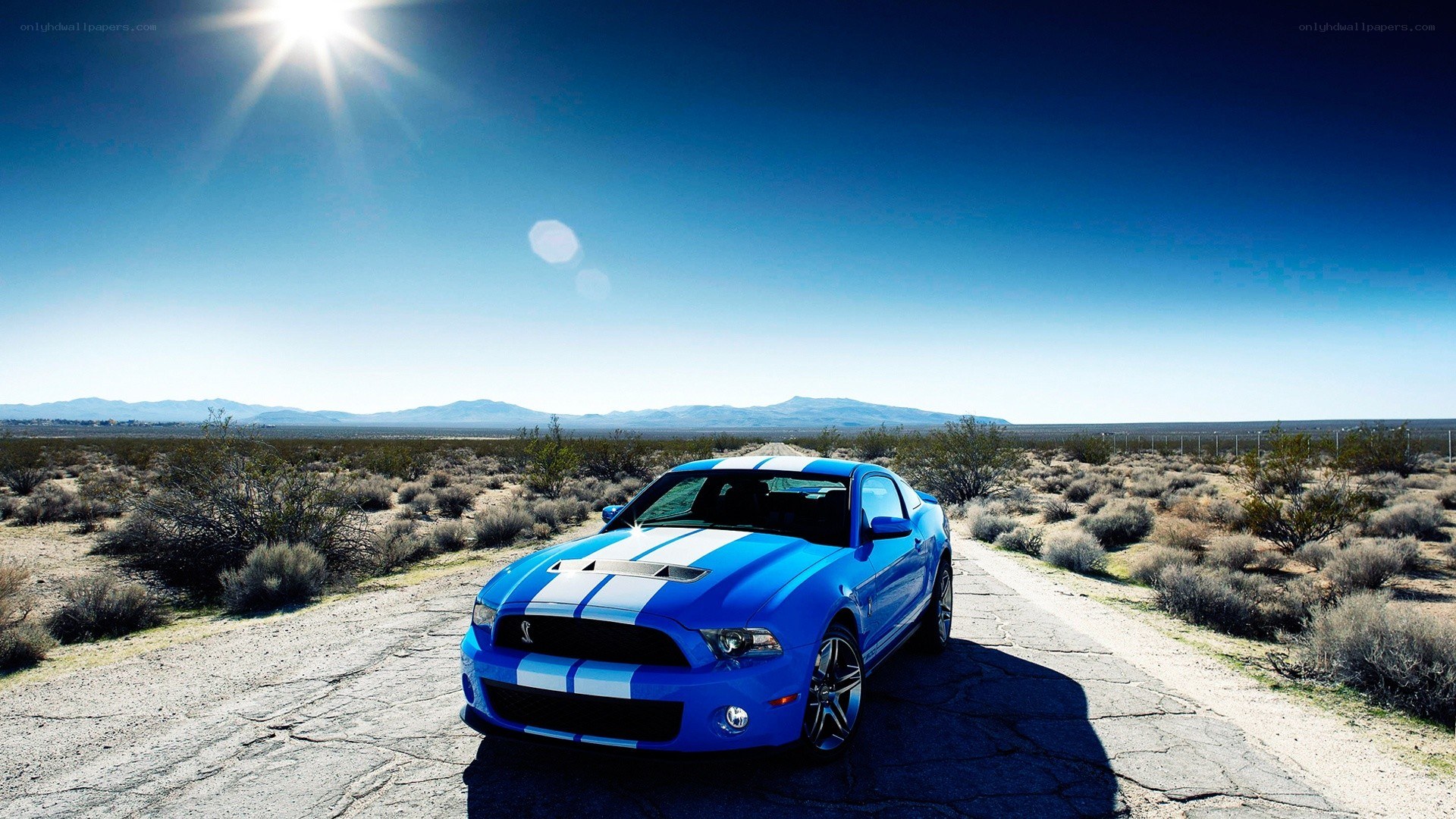 Blue Mustang in desert