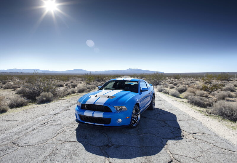 Blue Mustang in desert