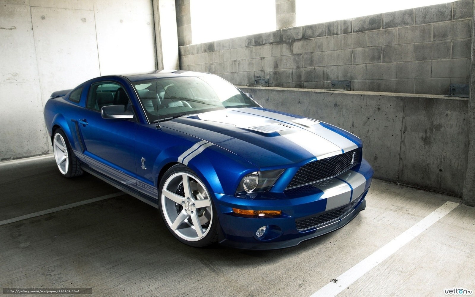 blue mustang in garage