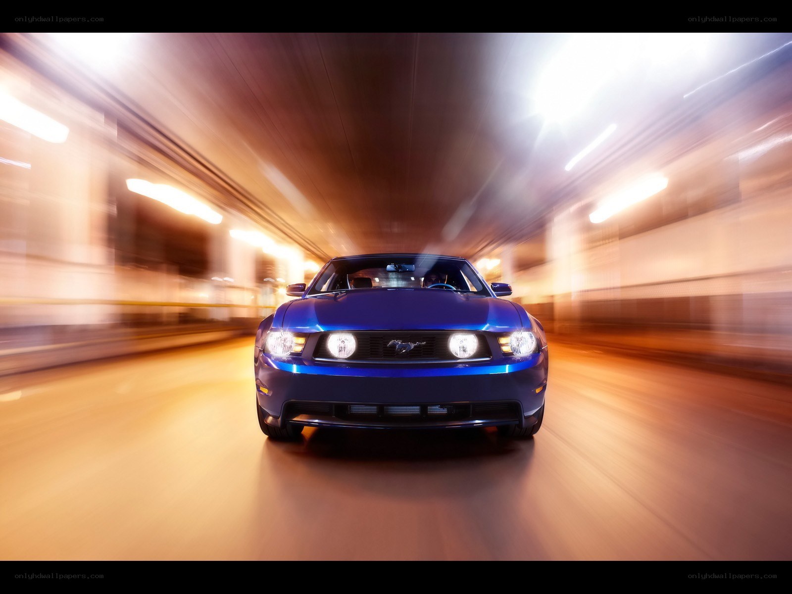 Blue Mustang in motion