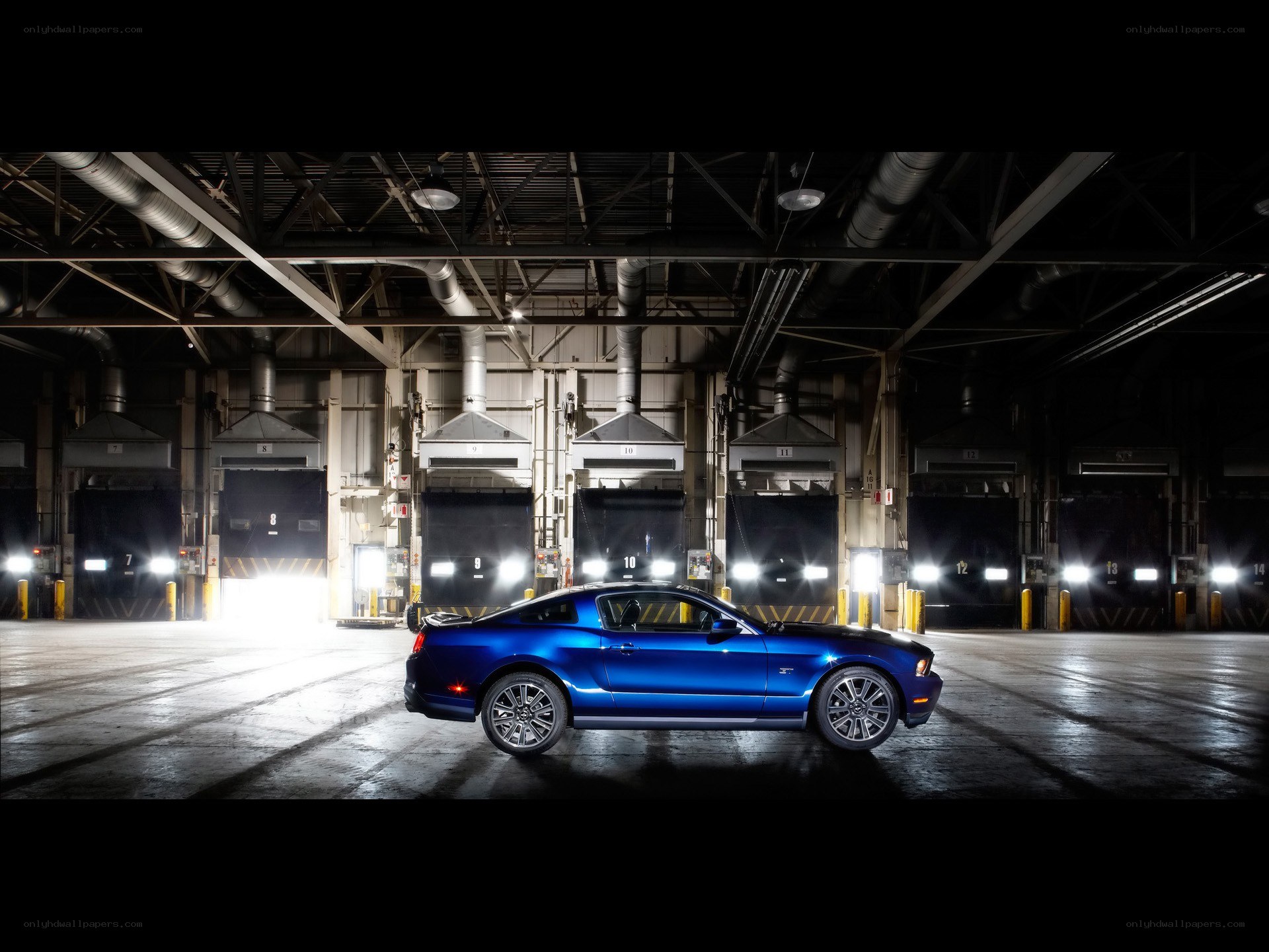 Blue Mustang in warehouse
