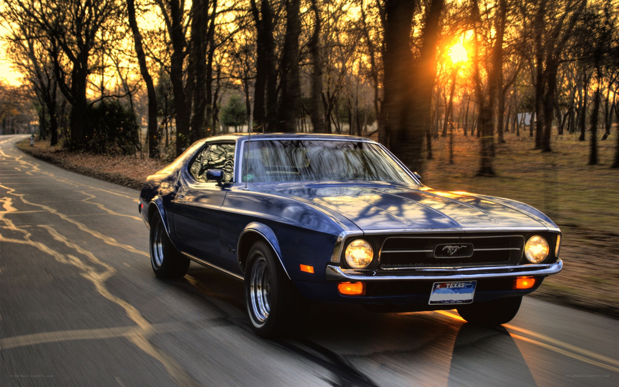 Blue Mustang on a forest road