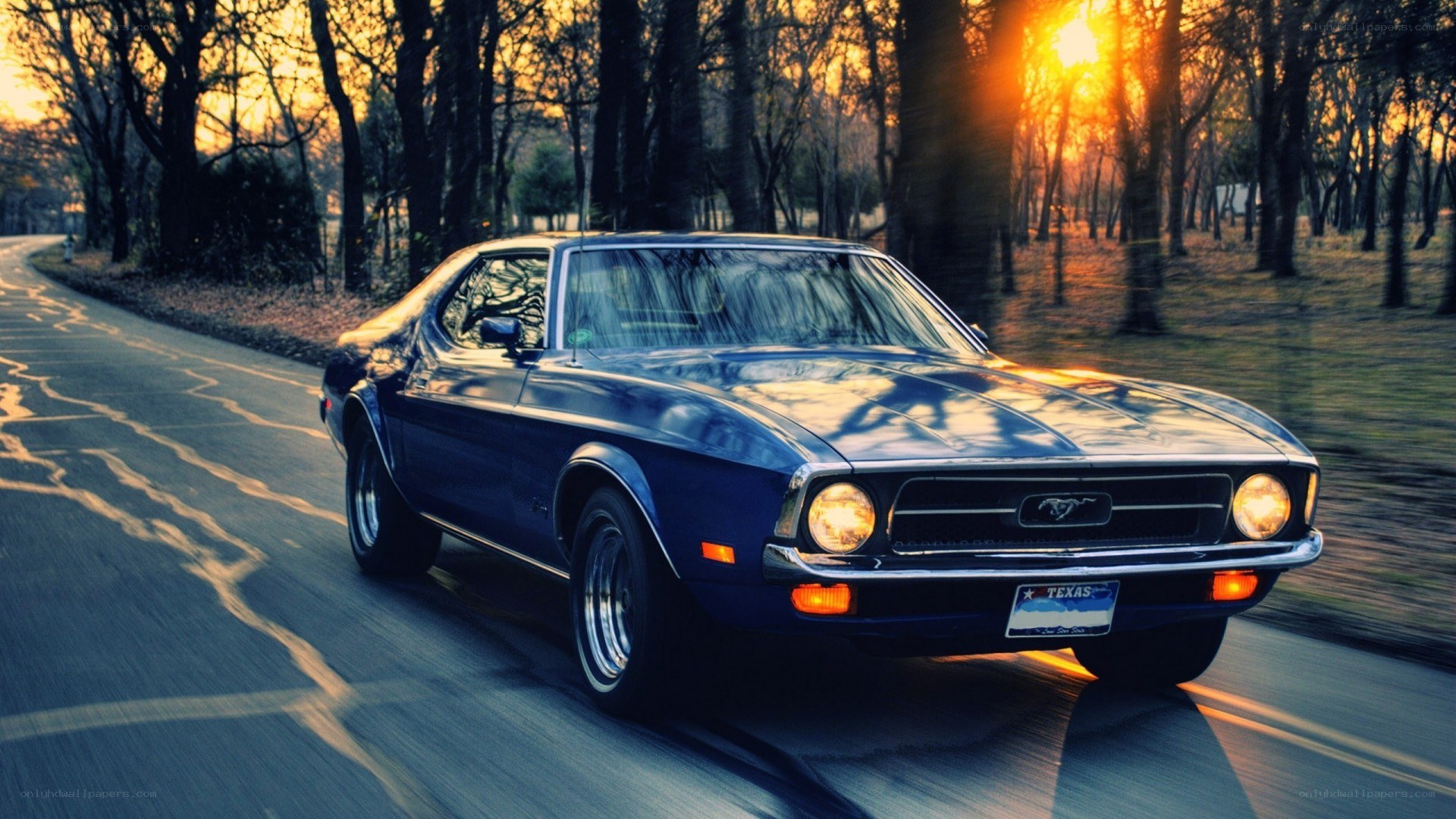 Blue Mustang on a forest road