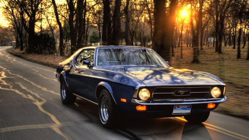 Blue Mustang on a forest road