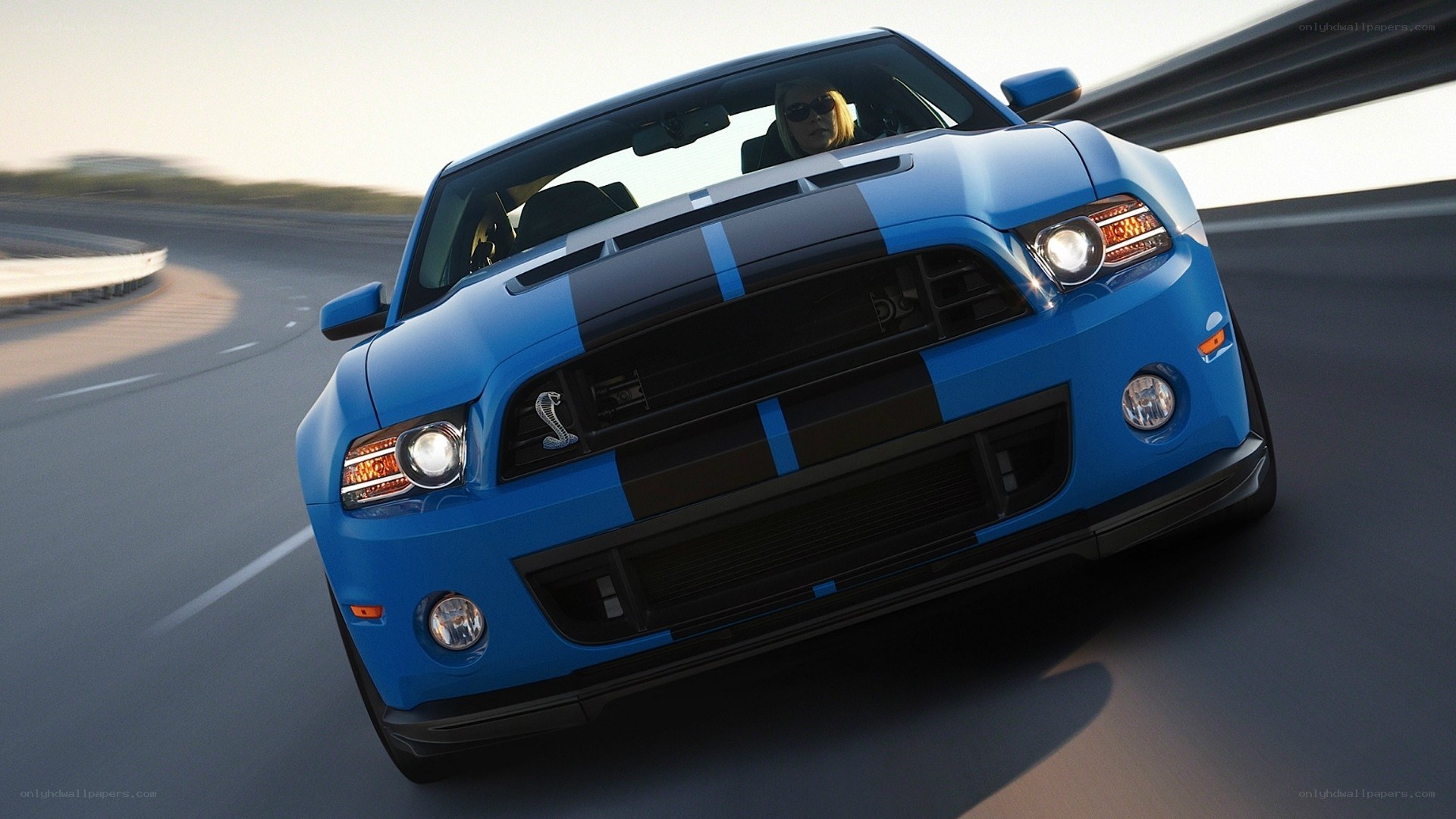 blue mustang on a racetrack