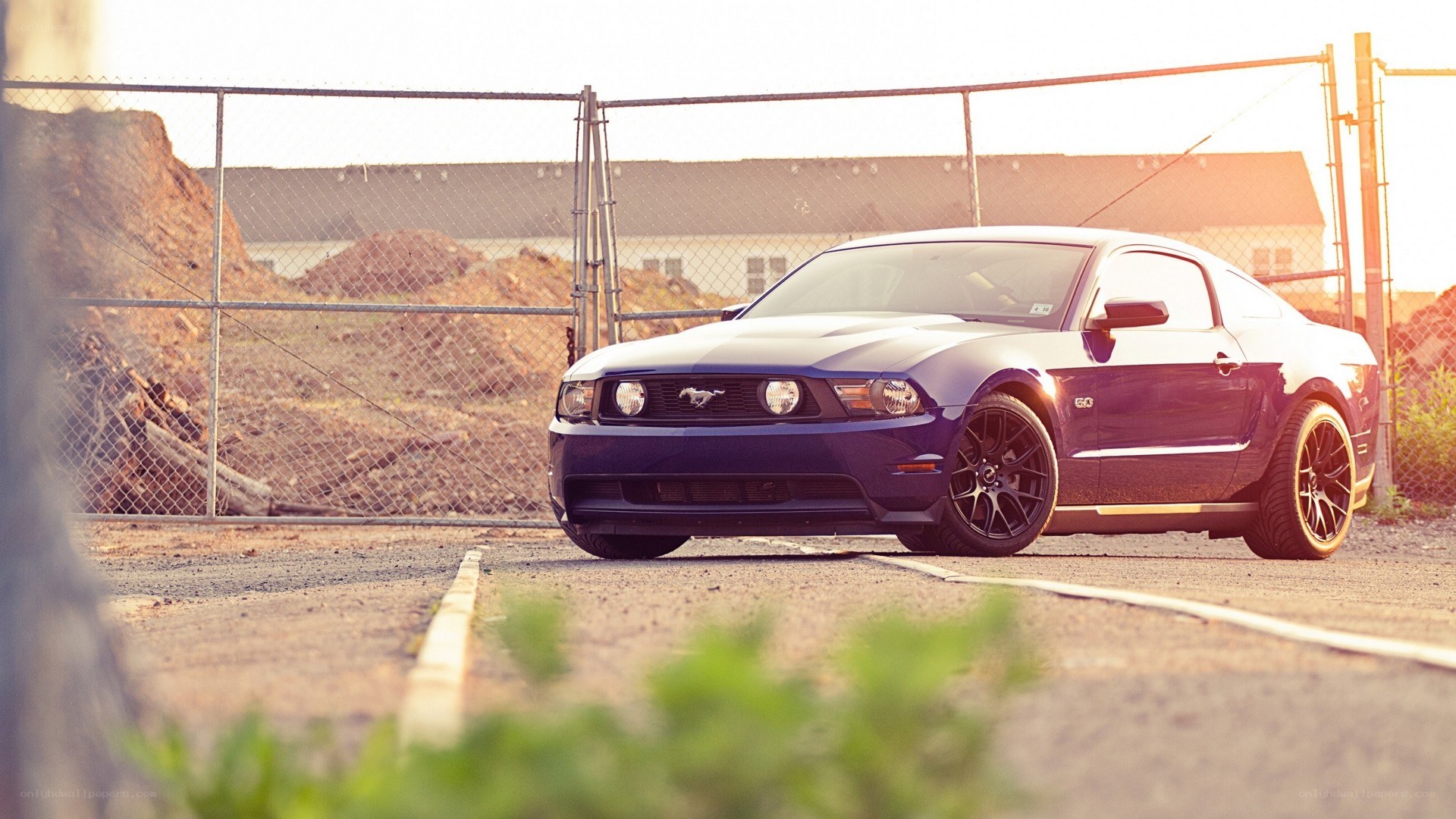 blue mustang on a road