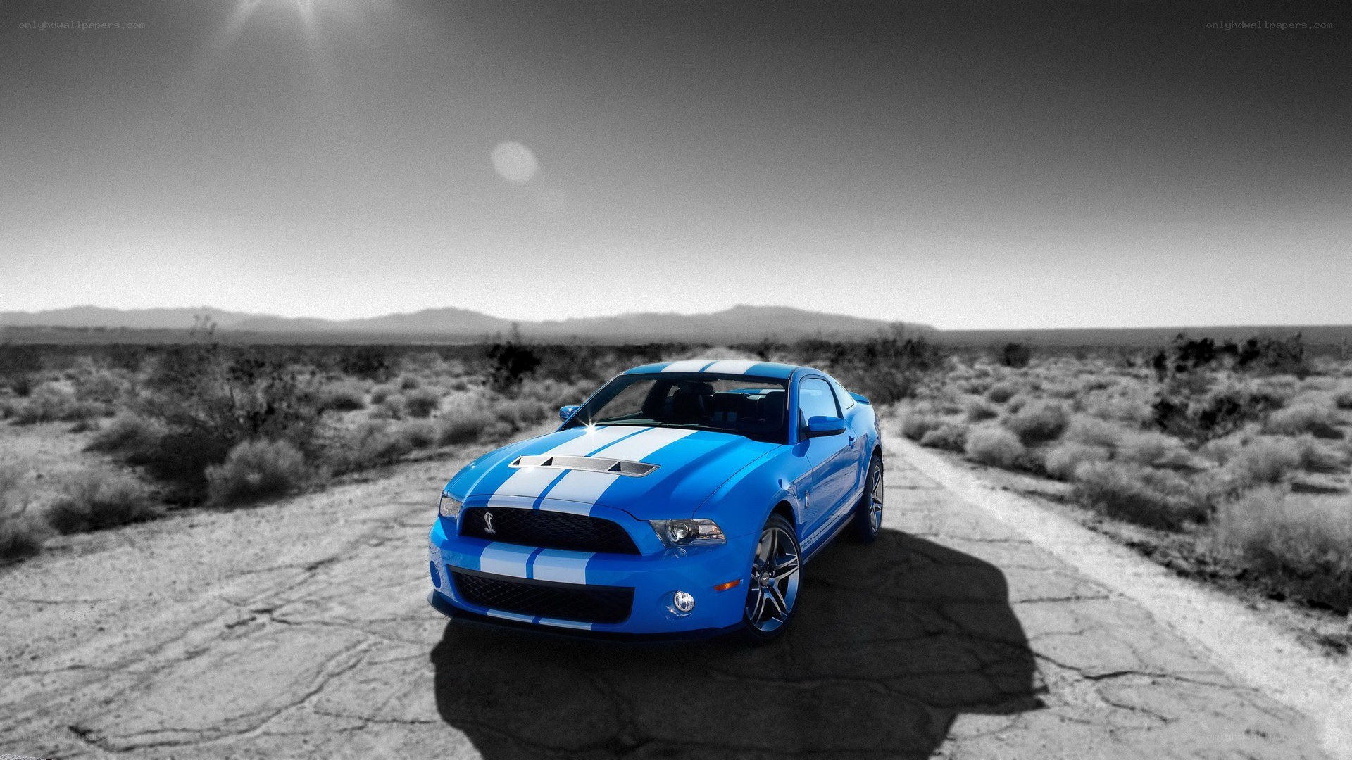 blue mustang on desert road