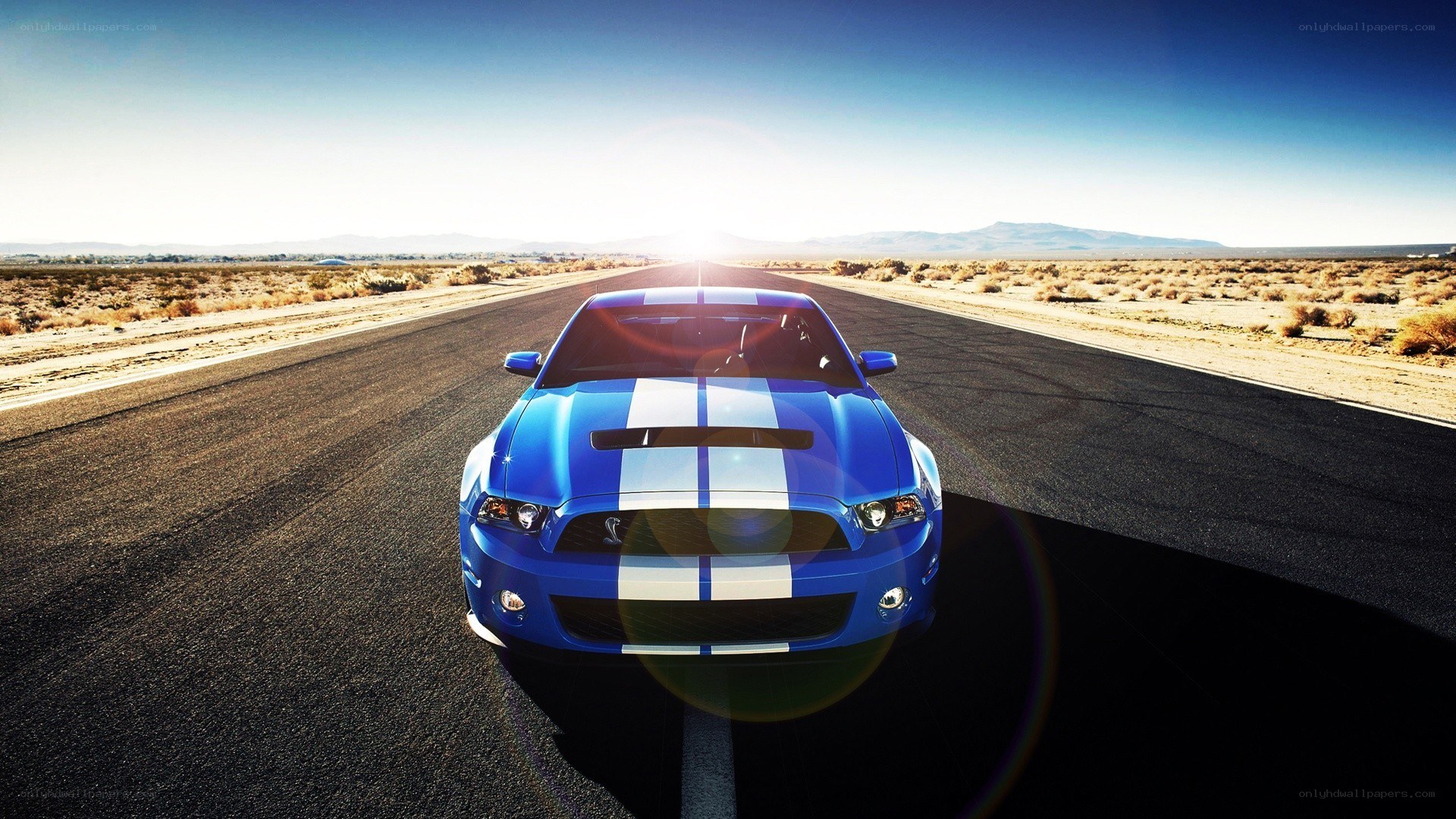 blue mustang on desert road
