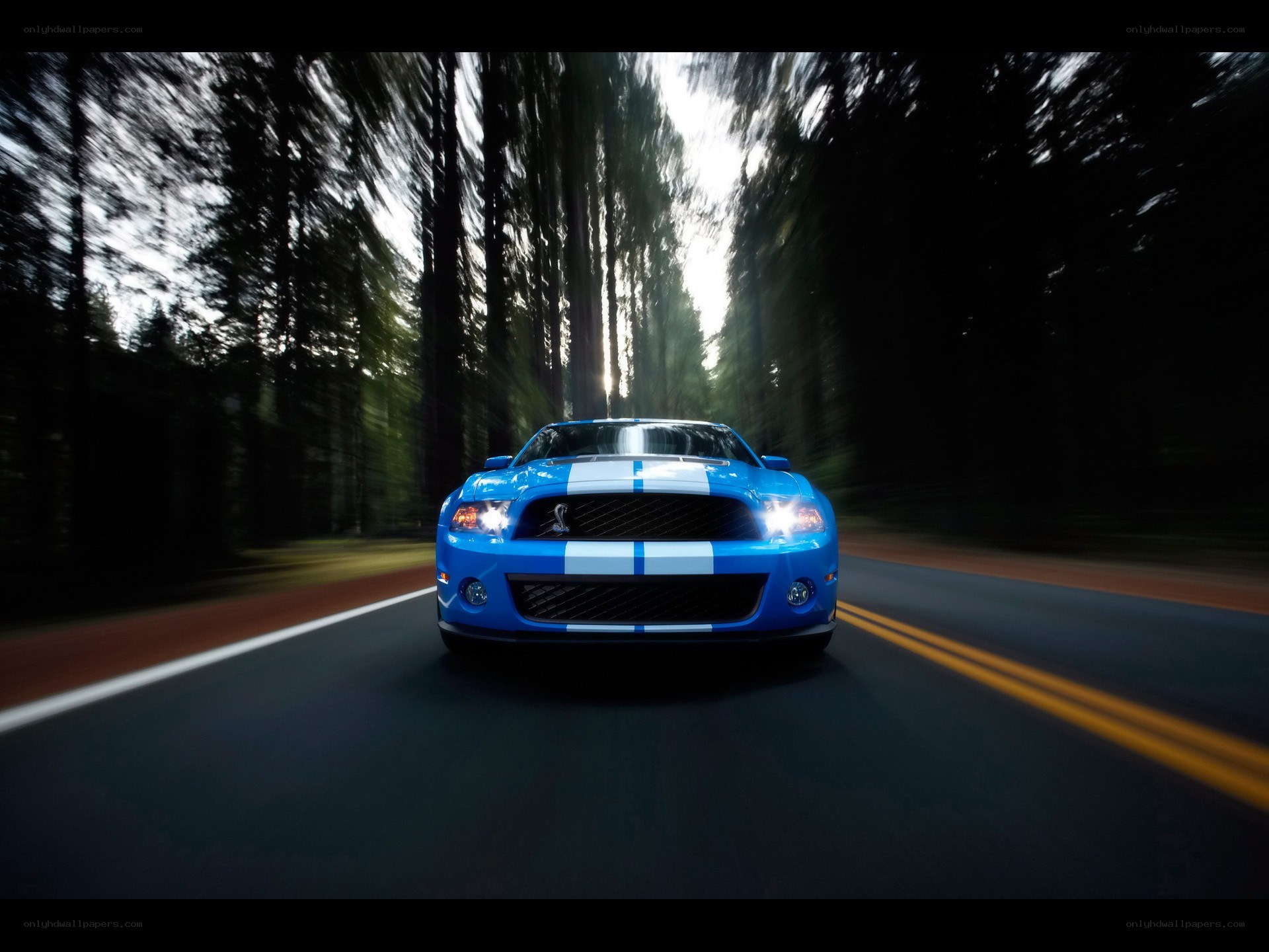 blue mustang on forest road