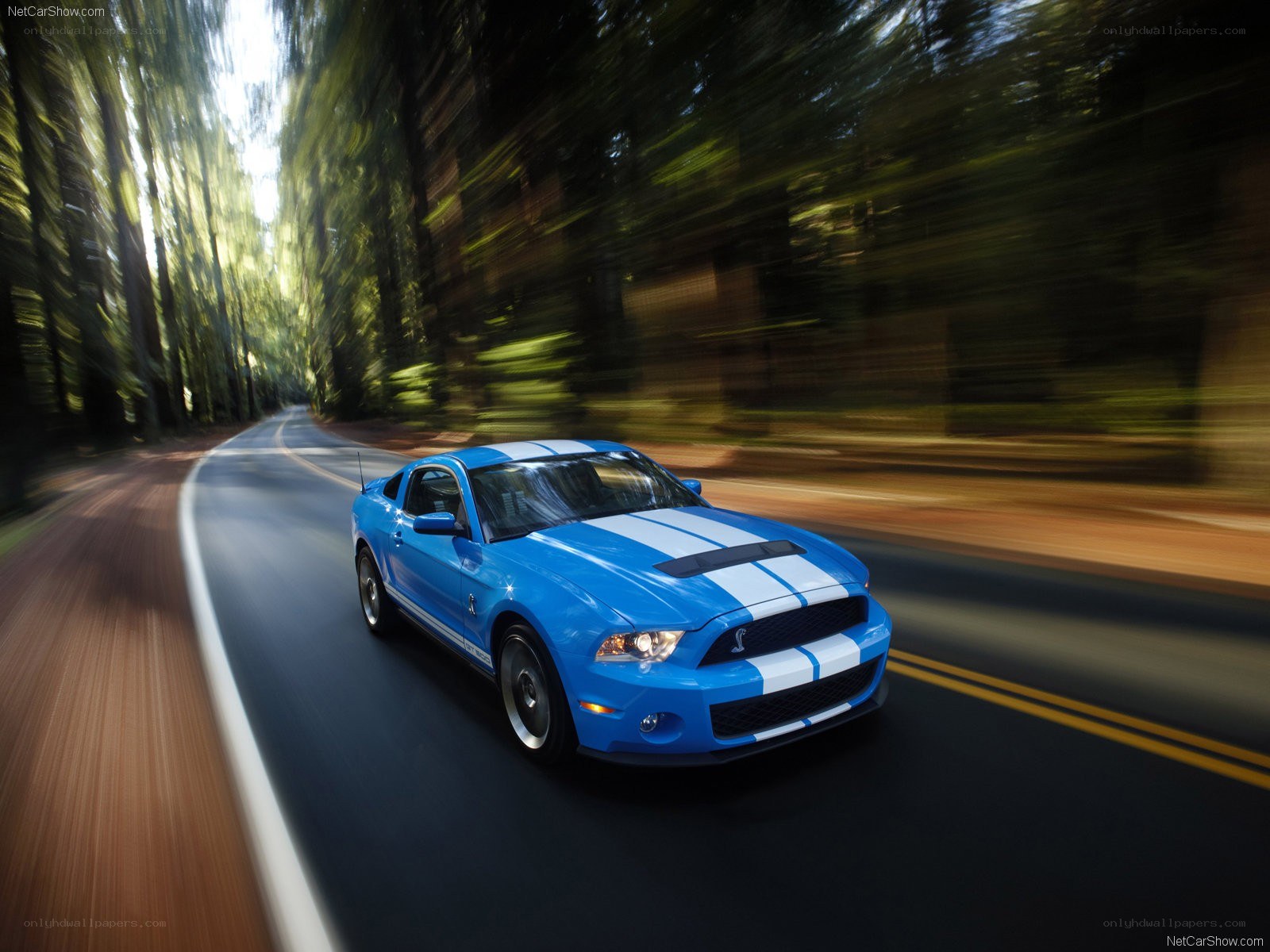blue mustang on forest road