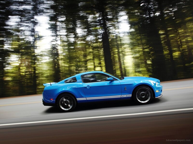 blue mustang on forest road