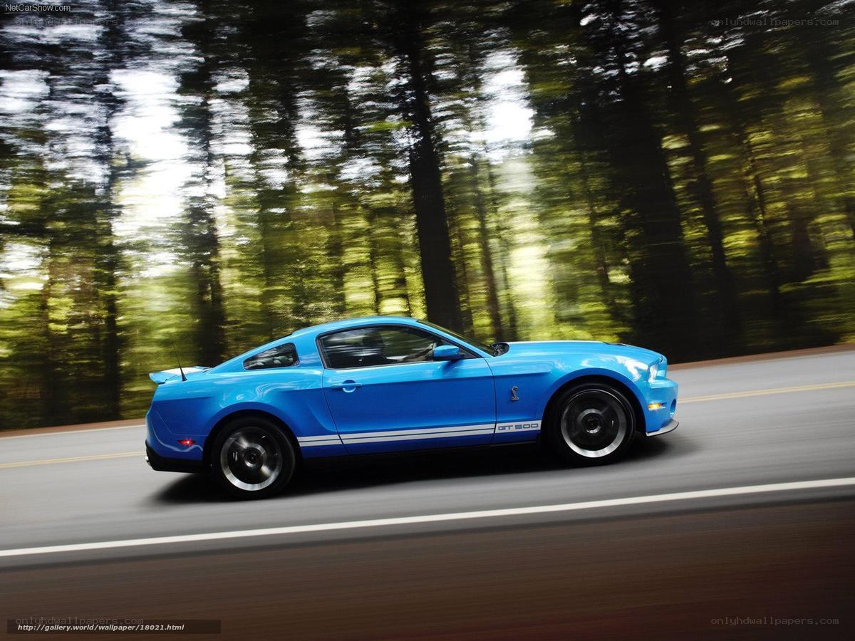 blue mustang on forest road