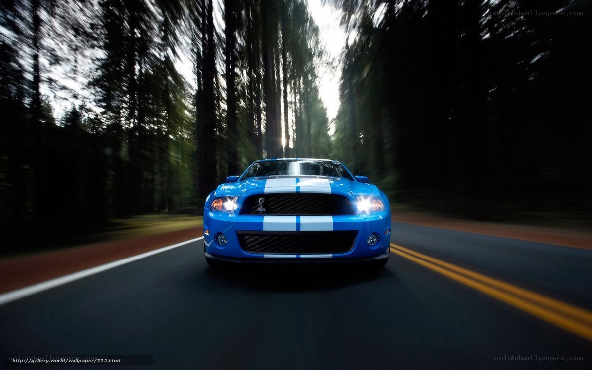 blue mustang on forest road