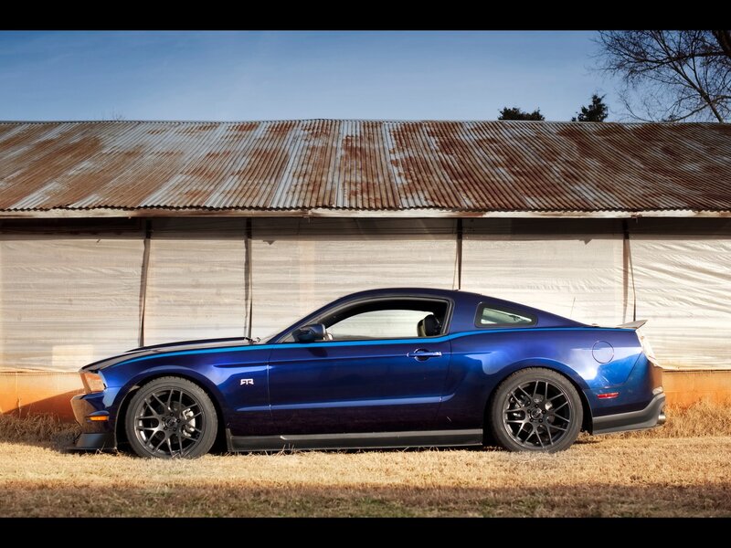 blue mustang on grass