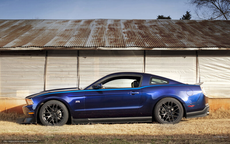 blue mustang on grass