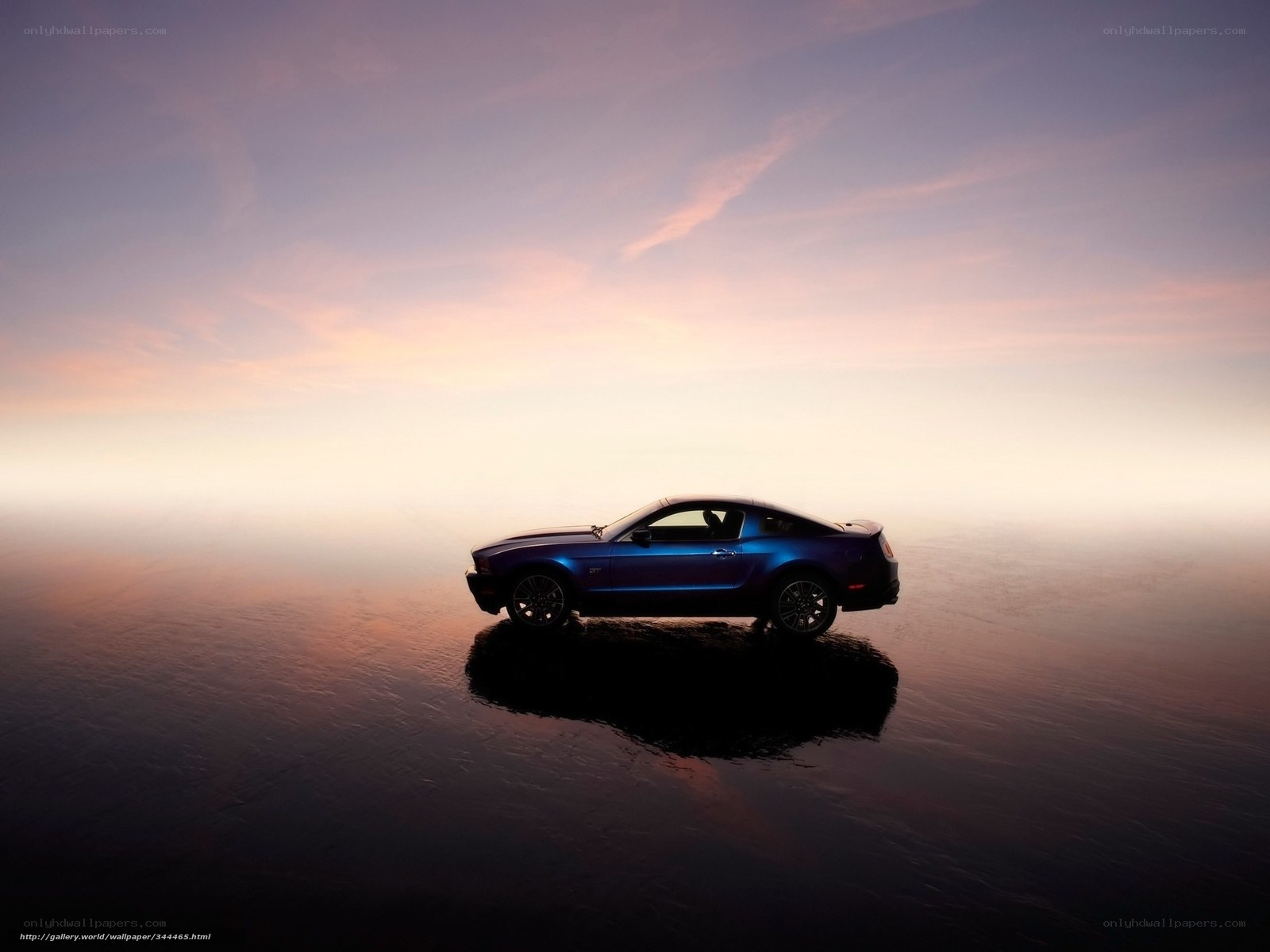 Blue Mustang on reflective surface