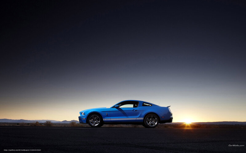 Blue Mustang on Road — Dramatic