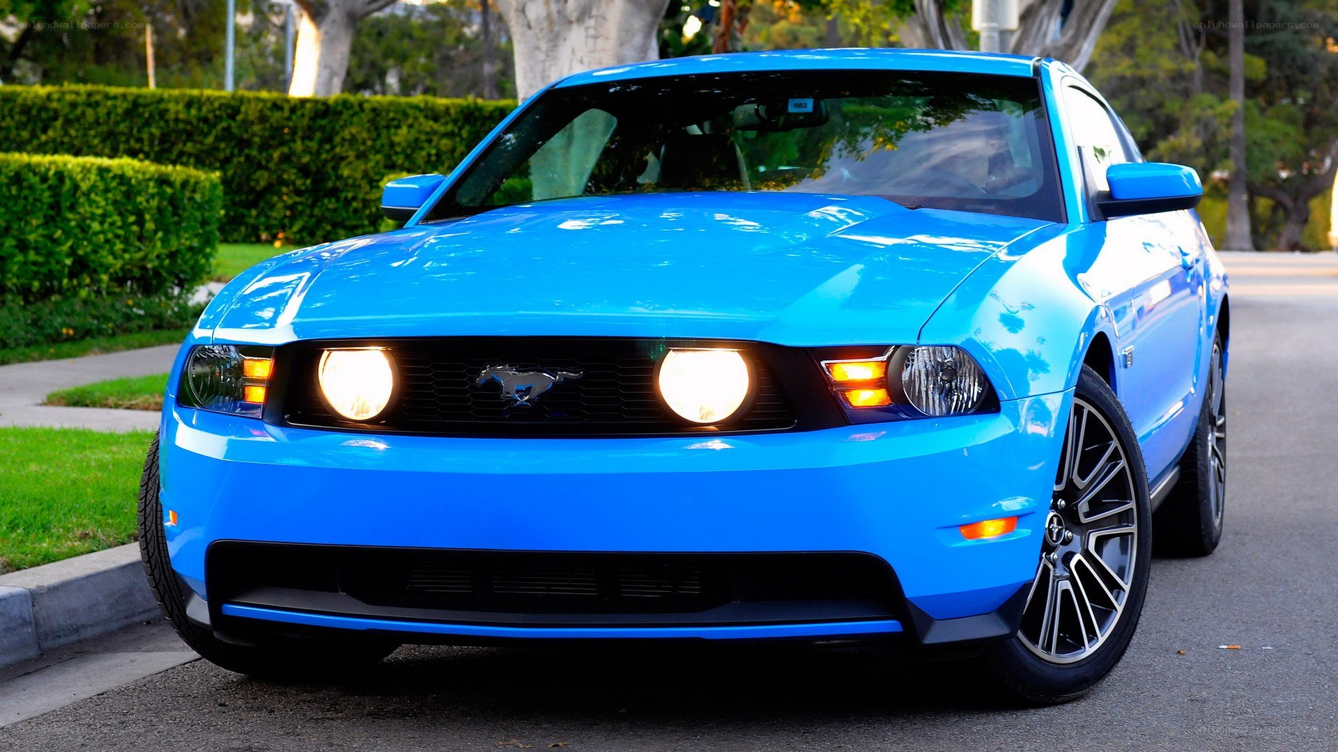 blue mustang on street