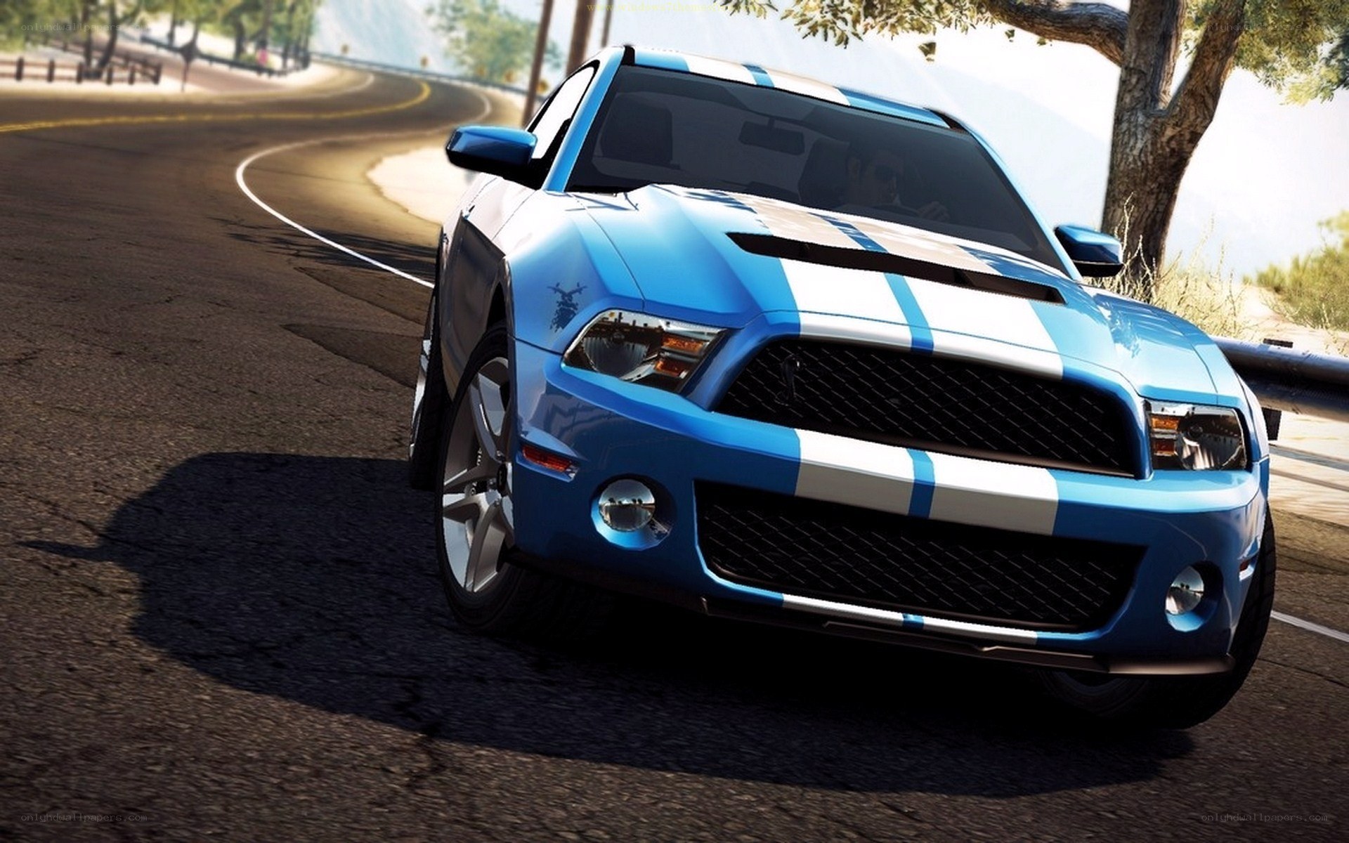 blue mustang on winding road