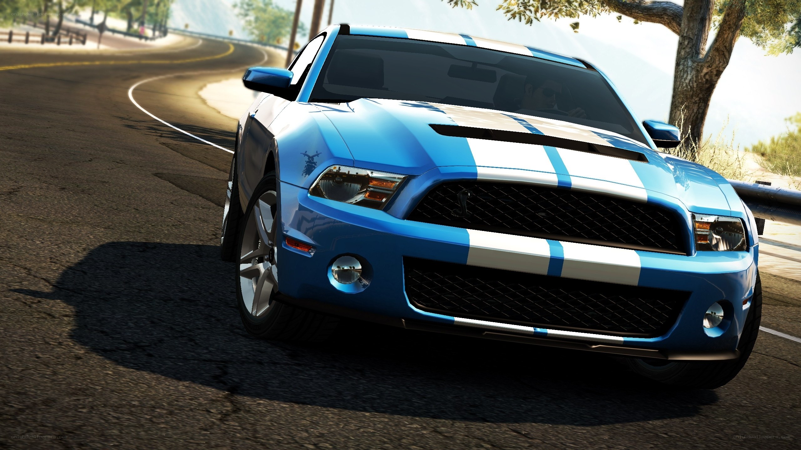 blue mustang on winding road