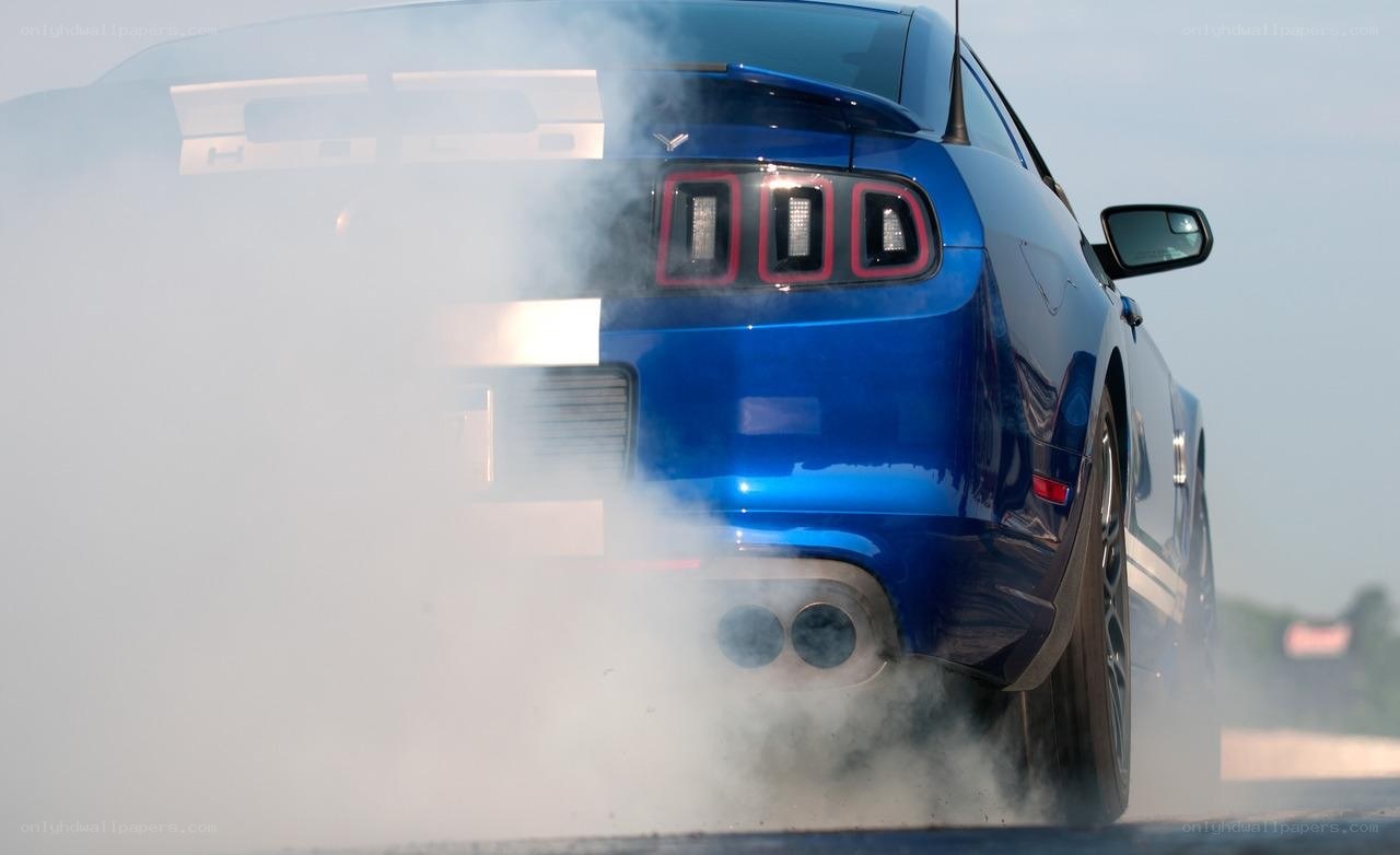 Blue Mustang performing burnout