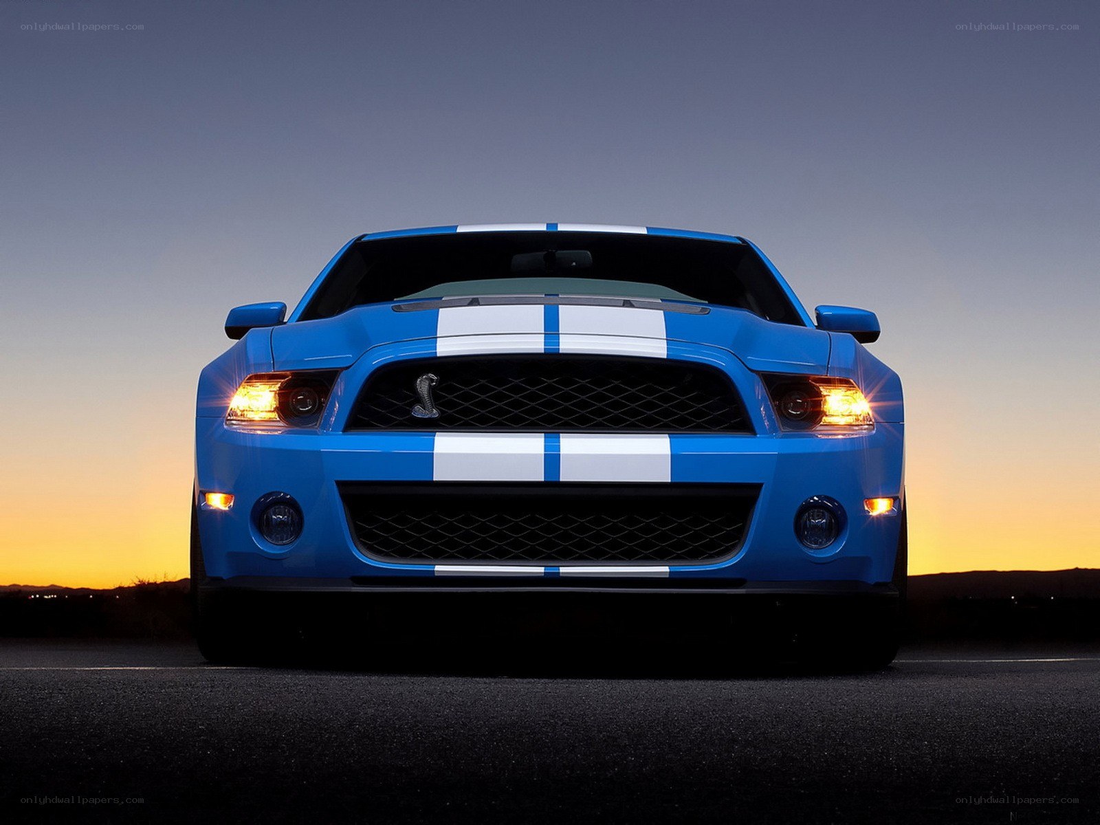 blue mustang with racing stripes