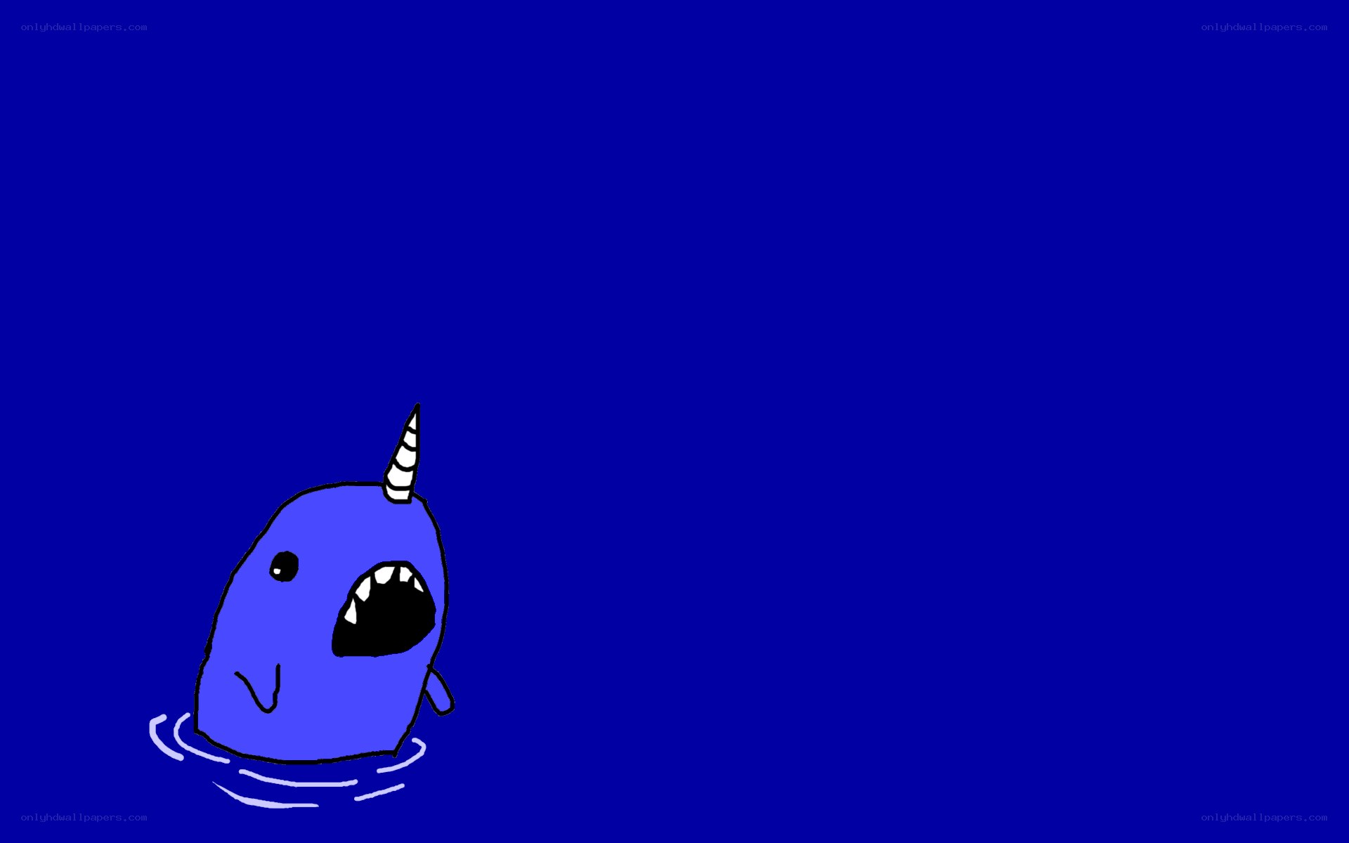 blue narwhal in water
