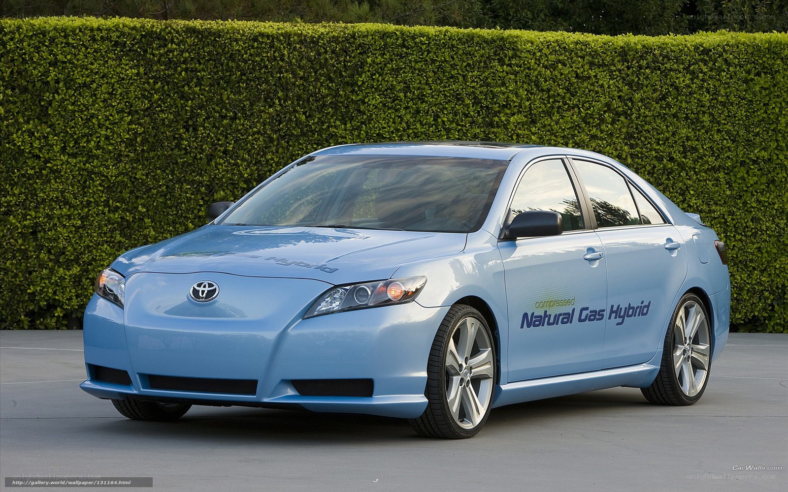 blue natural gas hybrid car