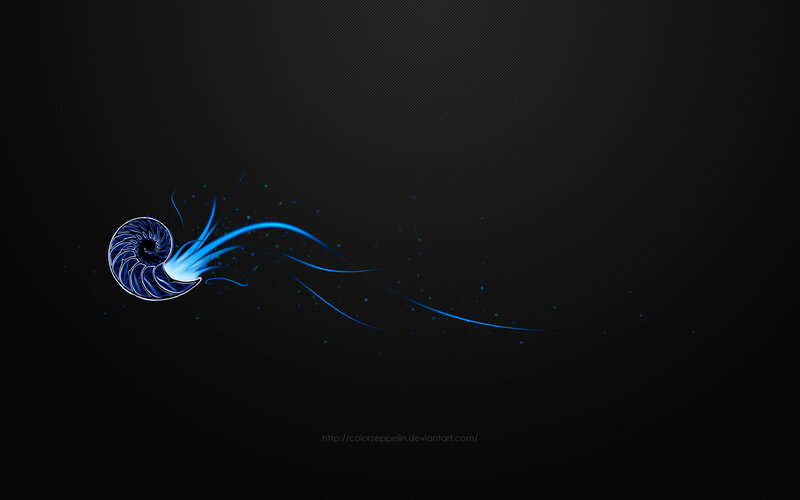 blue nautilus shell design