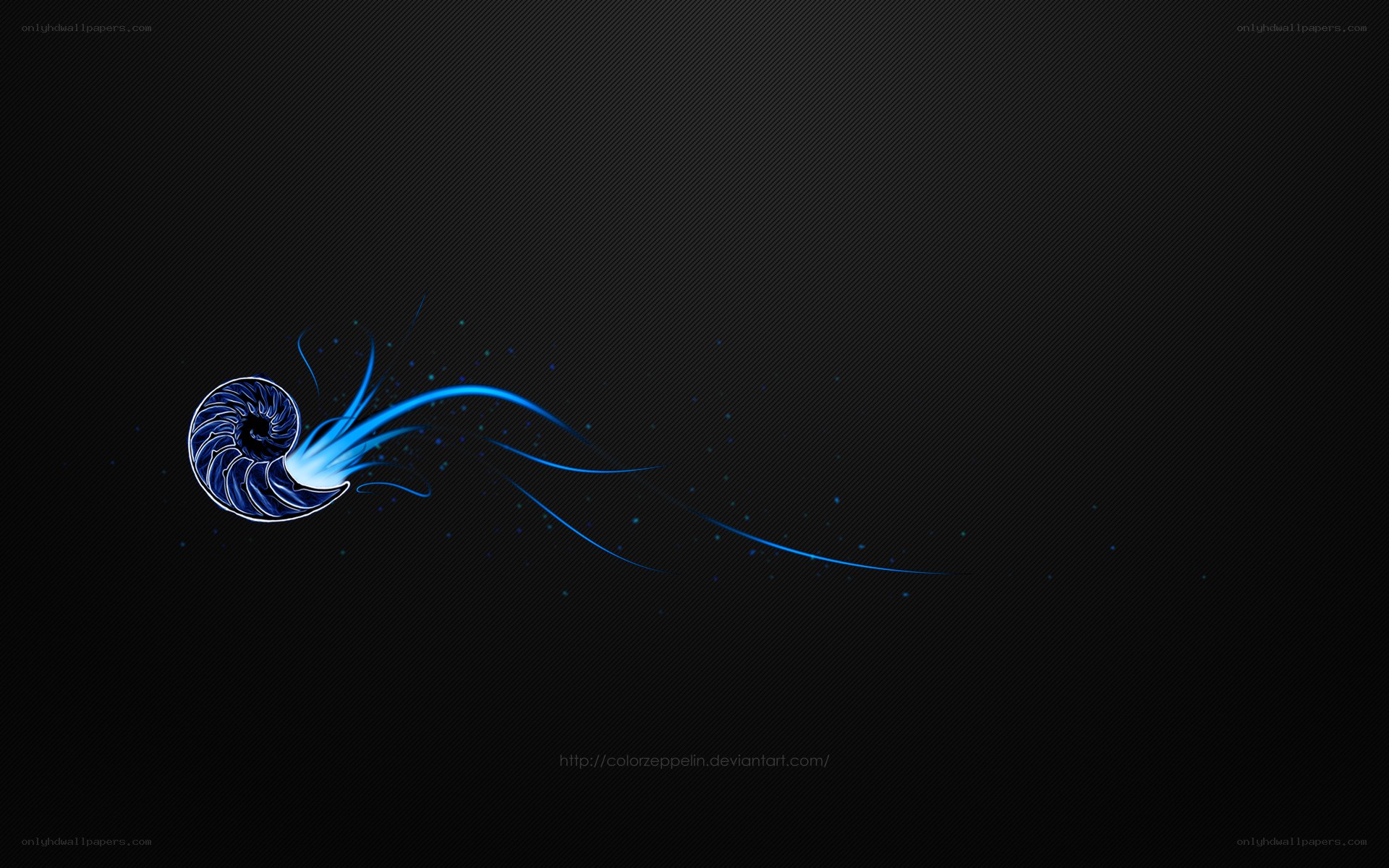 blue nautilus shell design