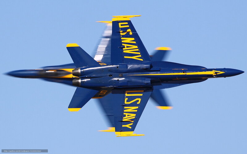 Blue Navy Jet in Flight
