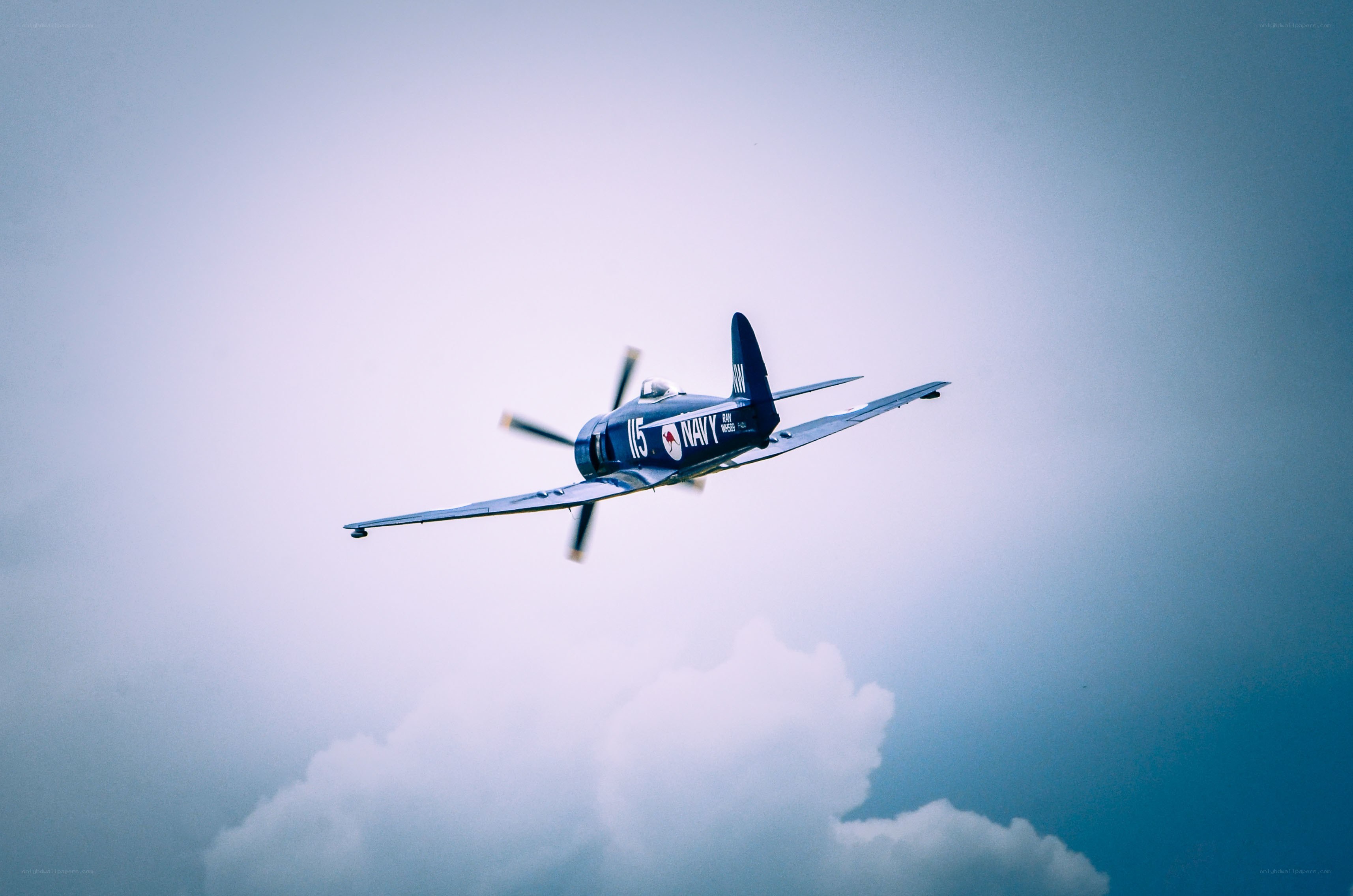 blue navy plane in flight