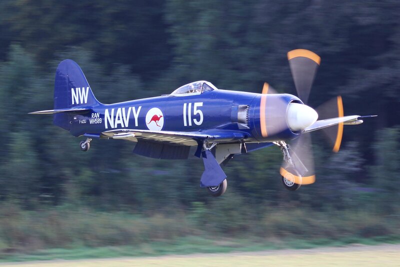 blue navy propeller plane