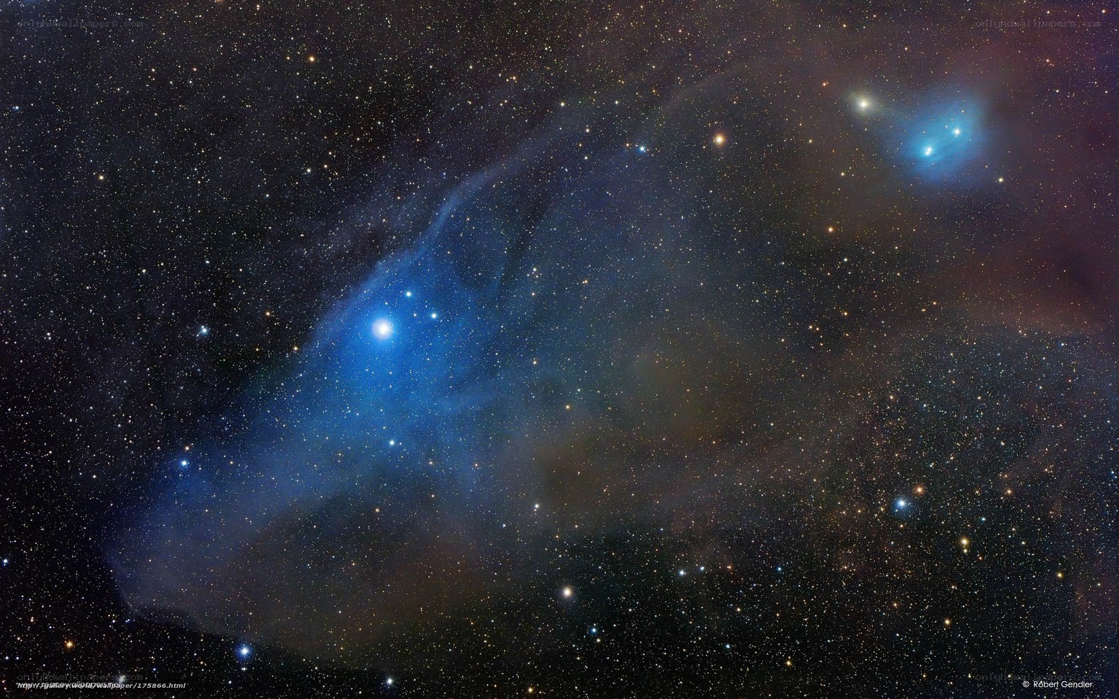 Blue nebula in starfield