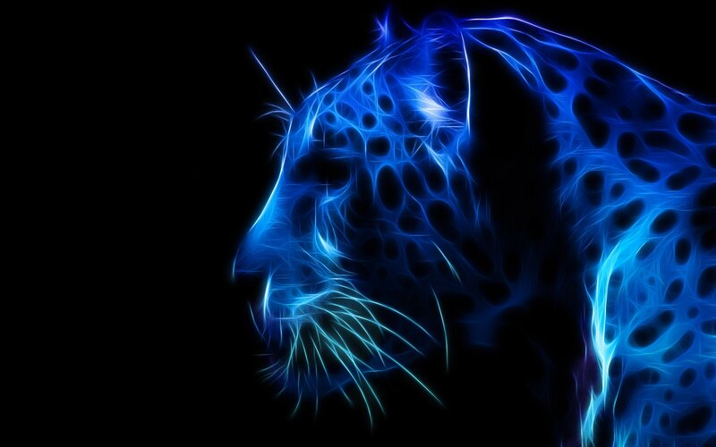 Blue Neon Leopard