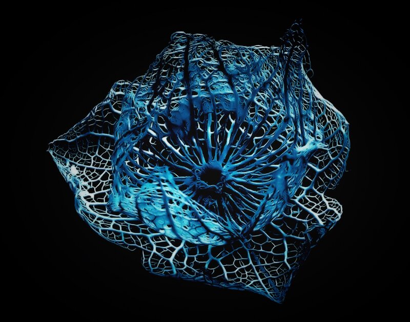 Blue network structure
