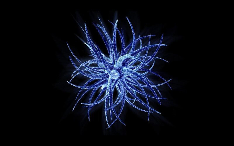 blue neural network structure