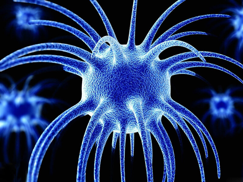 blue neuron cell structure