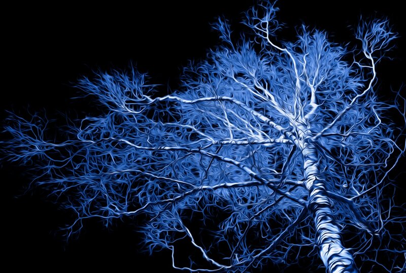 Blue Neuron Network